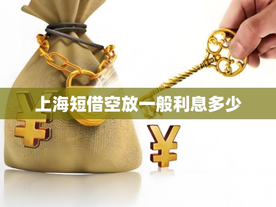 上海短借空放一般利息多少