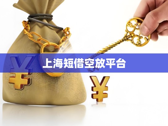 上海短借空放平台