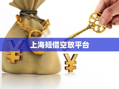 上海短借空放平台